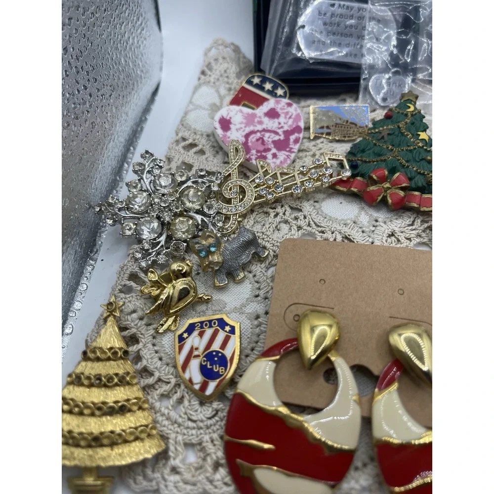 Huge‎ Lot Of Pins, Costume Jewelry , Earrings And One Keychain
